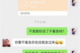 巴塘遇到恶意拖欠？专业追讨公司帮您解决烦恼