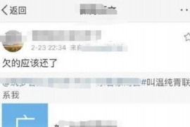 巴塘为什么选择专业追讨公司来处理您的债务纠纷？